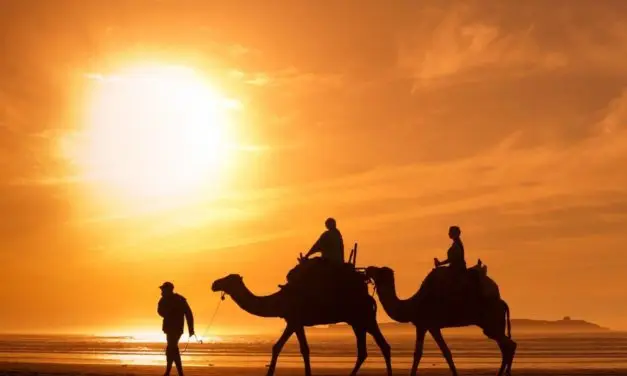Voyage de noces dépaysant et original : choisissez le Maroc !